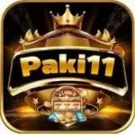 paki11 game